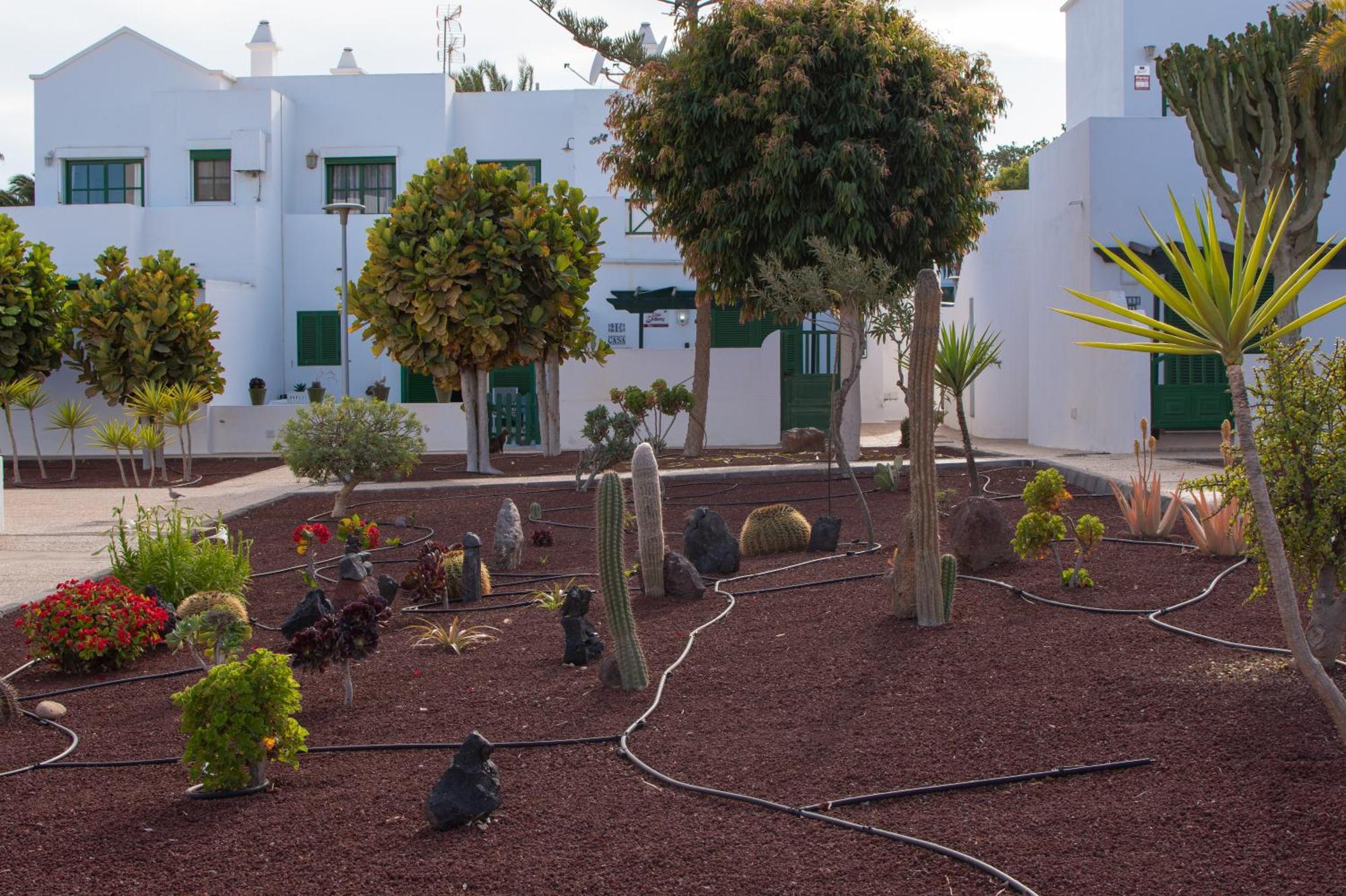 Casa Paz - Cozy 2 Bedroom Apartment Close To Dorada Beach Playa Blanca  Bagian luar foto